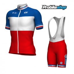 2017-2018 Fdj Französischer Meister Fahrradbekleidung Radtrikot Satz Kurzarm+Kurz Trägerhose 2017-2018 Fdj Französischer Meister Fahrradbekleidung Radtrikot Satz Kurzarm+Kurz Trägerhose