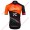 Radsport TEAM WILIER FORCE 7C 2018 Trikot Kurzarm