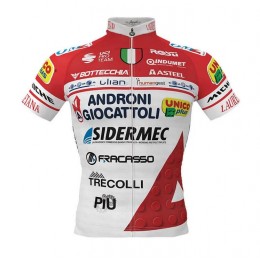 Fahrradbekleidung Radsport 2020 ANDRONI GIOCATTOLI SIDERMEC Trikot Kurzarm Outlet J0JOB Fahrradbekleidung Radsport 2020 ANDRONI GIOCATTOLI SIDERMEC Trikot Kurzarm Outlet J0JOB