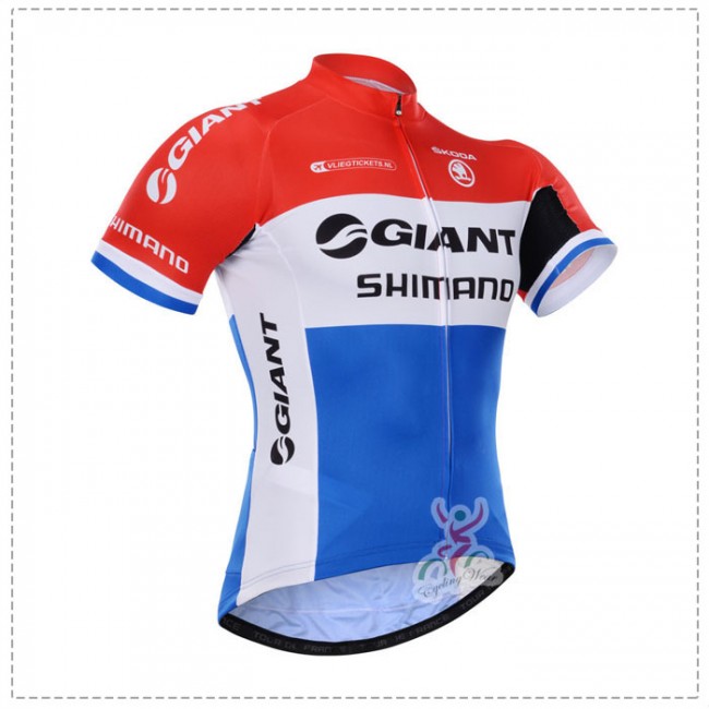 2015 Giant Shimano Radtrikot Kurzarm YSNL215 2015 Giant Shimano Radtrikot Kurzarm YSNL215