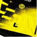 Bekleidung Damen Team Visma Lease a bike 2025 The Wingbeat frau trikot