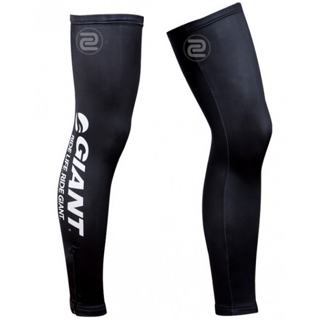 2014 Giant Rad Beinlinge HTMV848 2014 Giant Rad Beinlinge HTMV848